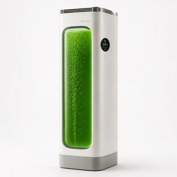 Algae Breathe — view 2