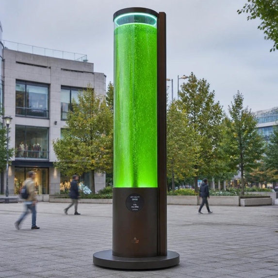 Algae Parks & Trees